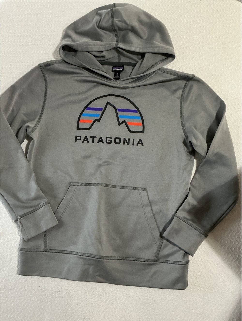 Patagonia boys Gray Hoodie with Logo